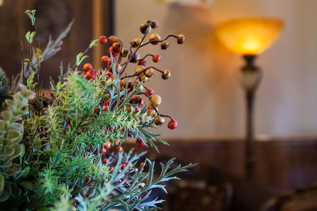 O'Brien Riverwalk Boutique Hotel San Antonio Interiør bilde